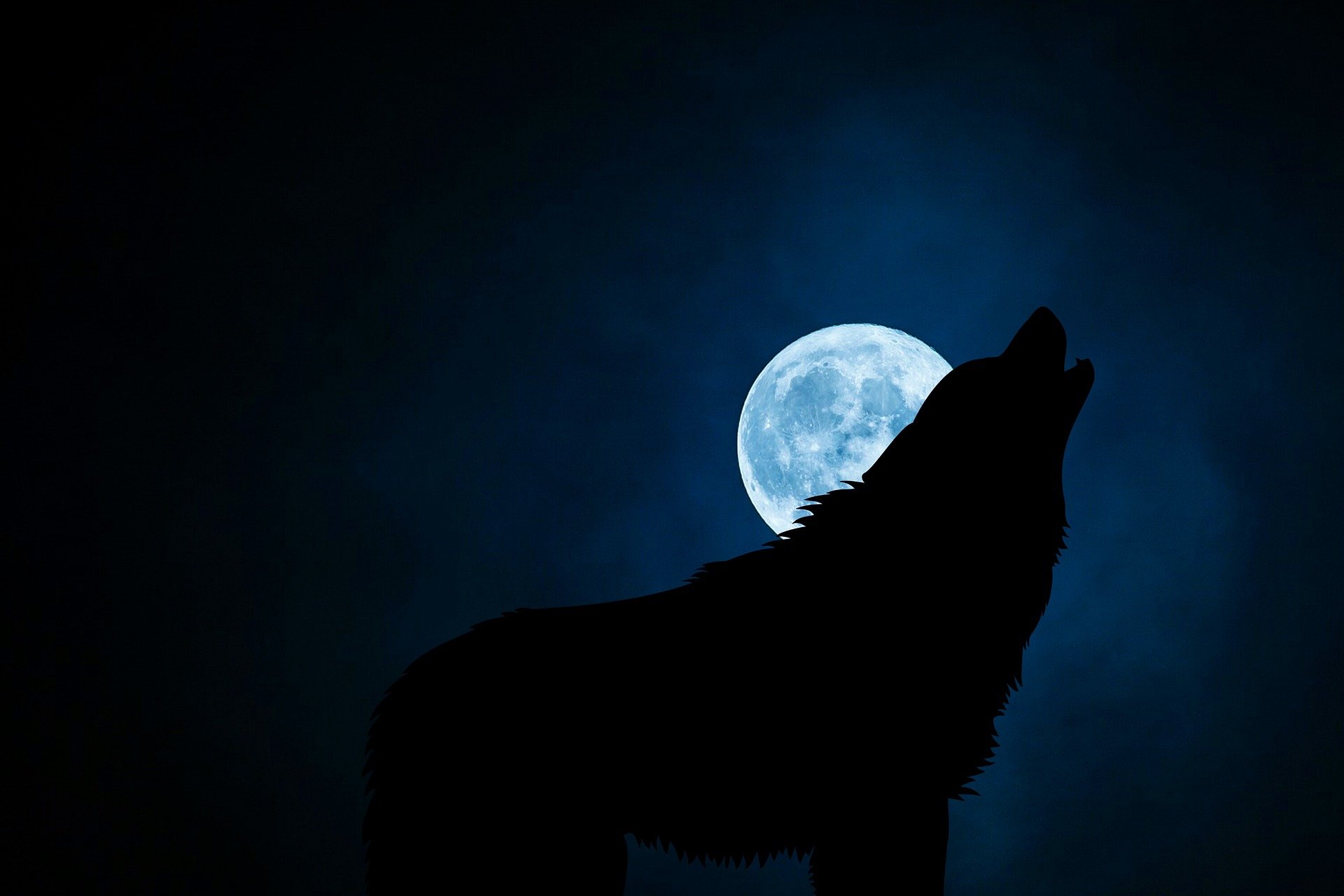 Loup-Garou grandeur nature, le jeu de nuit — LaToileScoute