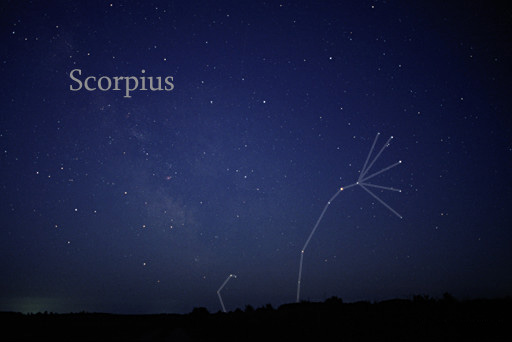 Constellation du Scorpion