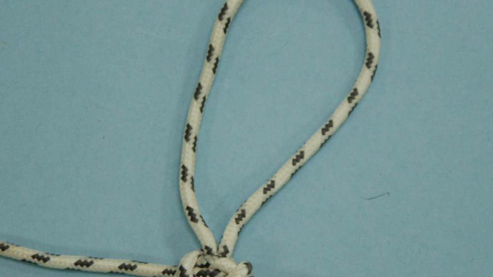 Le papillon des Alpes