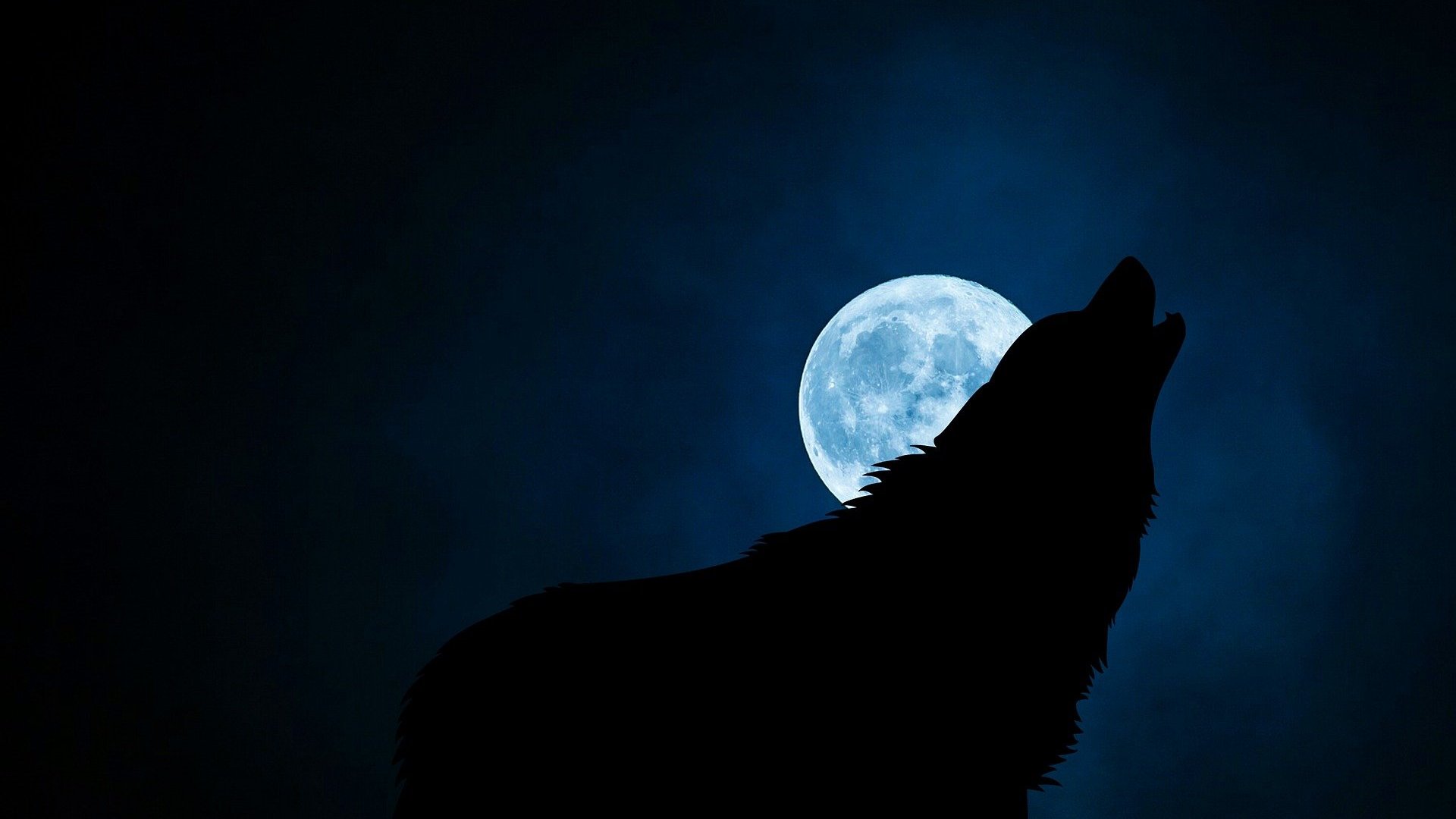 Loup-Garou grandeur nature, le jeu de nuit — LaToileScoute