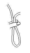 Le nœud de scaffold