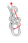 Le nœud de scaffold