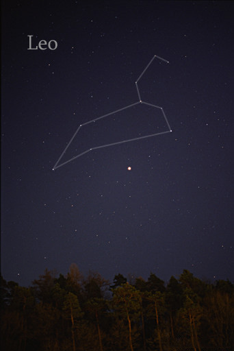 Constellation du Lion