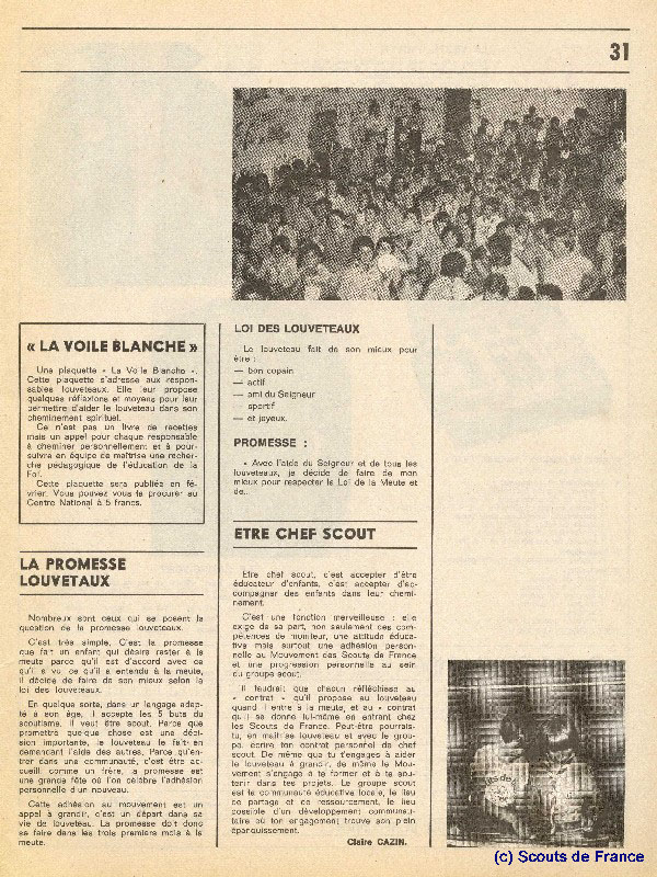 Page 31