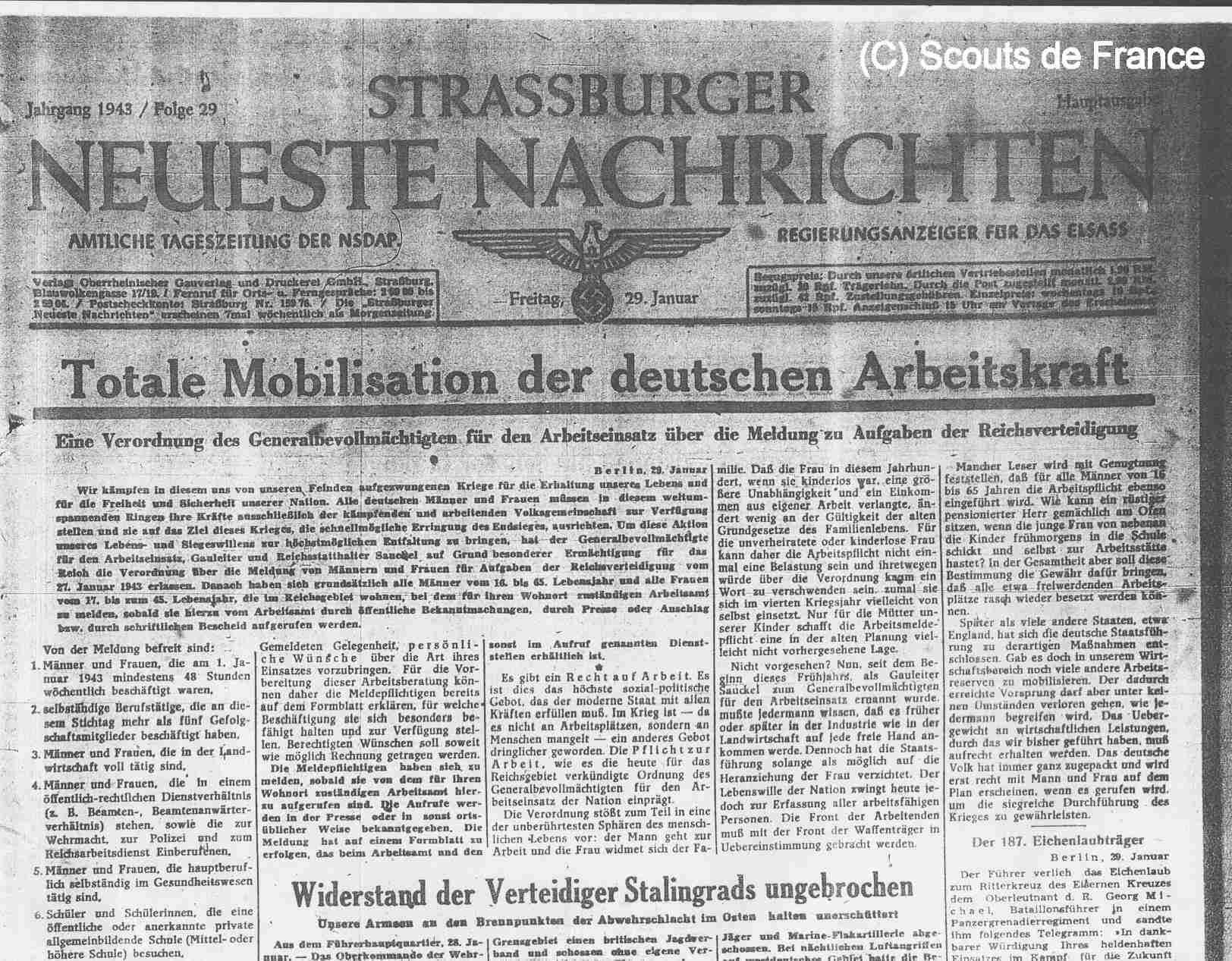 L&rsquo;héroïsme au quotidien : les Pur-Sang d&rsquo;Alsace
