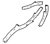 Flèche
