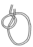 Le serpent sort du puits...