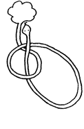 Le serpent sort du puits...