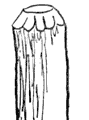 chanfrein2.gif