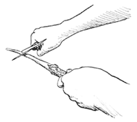 couteau2.gif