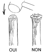 epointer3.gif