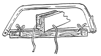 scie1.gif