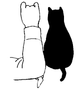 chat