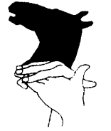 cheval