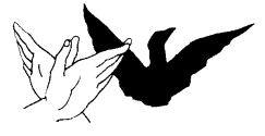 colombe