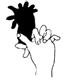 coq