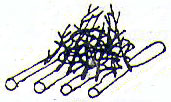 Feu-3.jpg