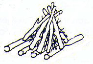 Feu-4.jpg