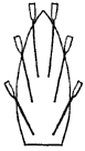 manoeuvres1_1_.gif