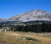 3- Du 6 au 16 juillet 1961 : dans le Vercors