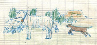 Troupeau de mouton et chien de berger