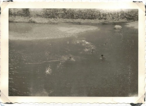 Première baignade