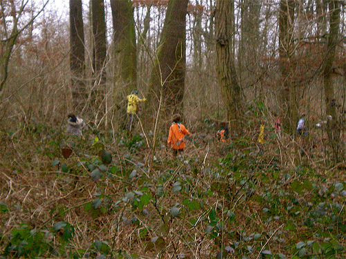 Dans la forêt