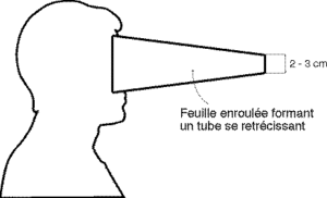 schema52.gif