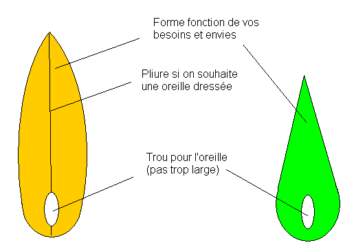 Des oreilles pointues d&rsquo;elfe