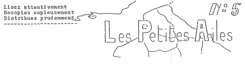 Les Scouts de France et l&rsquo;aventure des Petites Ailes