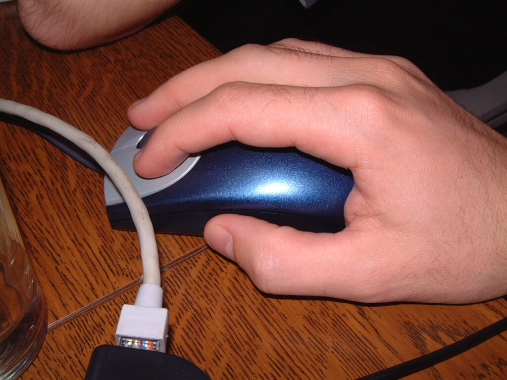 dscf3100.jpg
