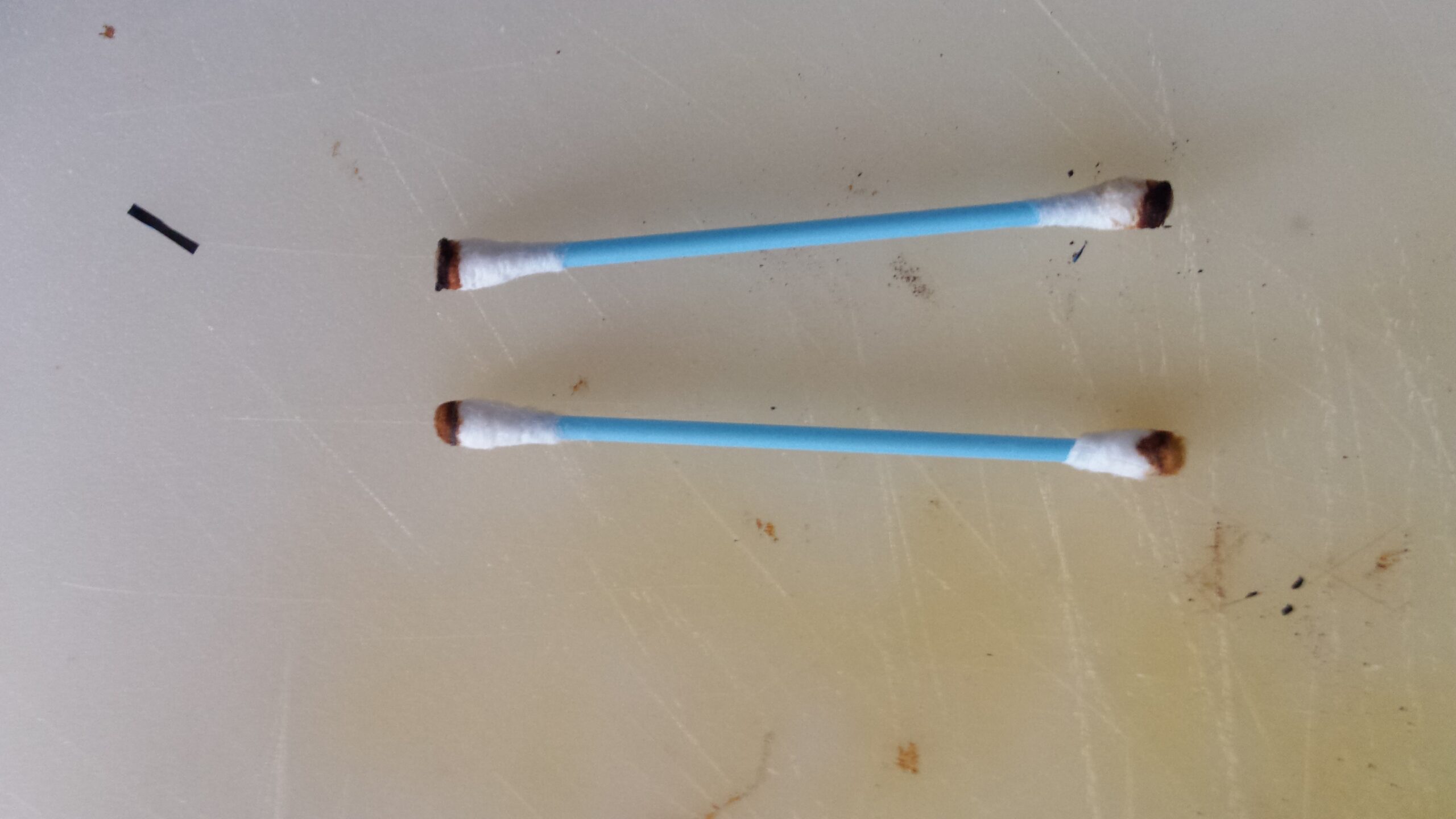 20140822_085234_1_.jpg