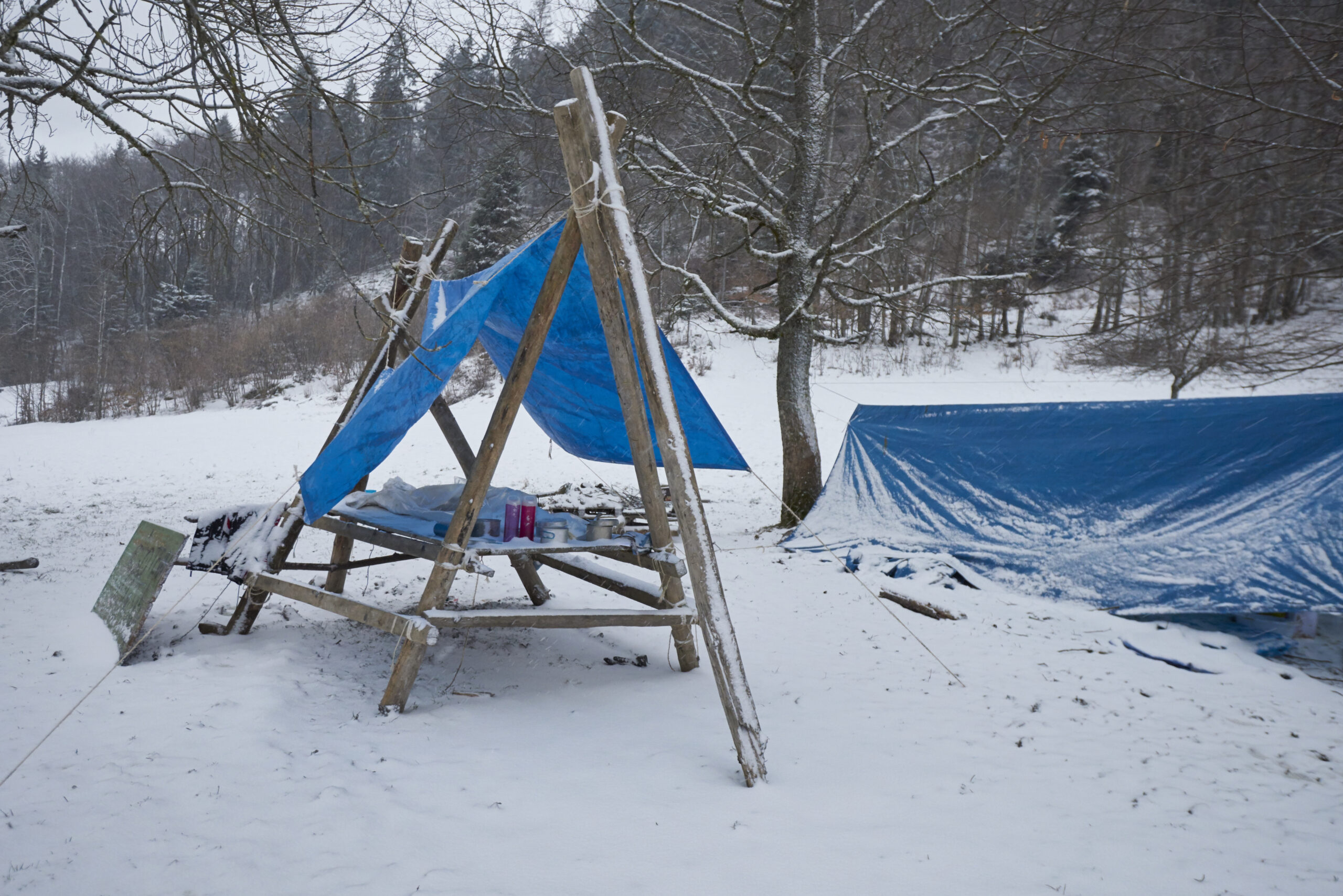 sfays_160219084302.jpg