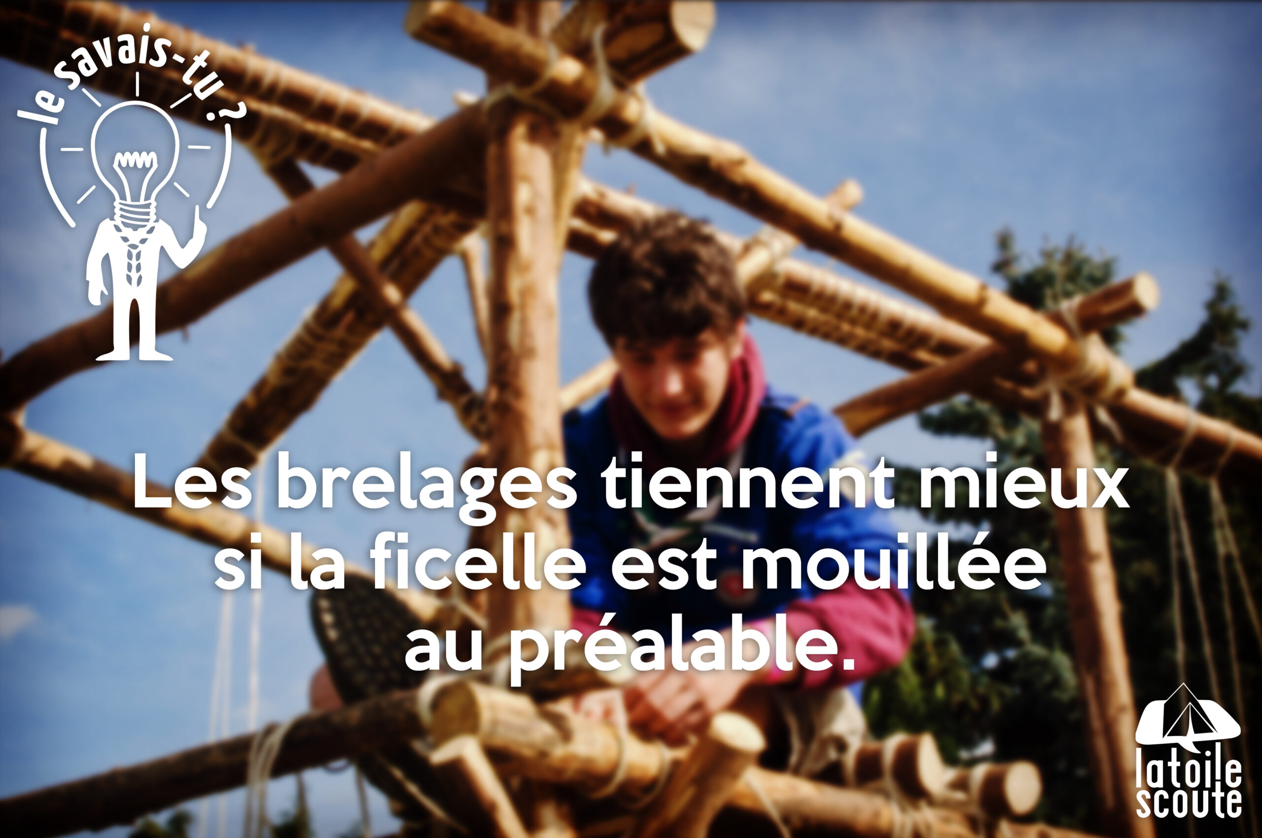 Les brelages tiennent mieux si…