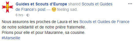 2017-10-02_21_25_43-_3_guides_et_scouts_d_europe_-_home_-_opera.png