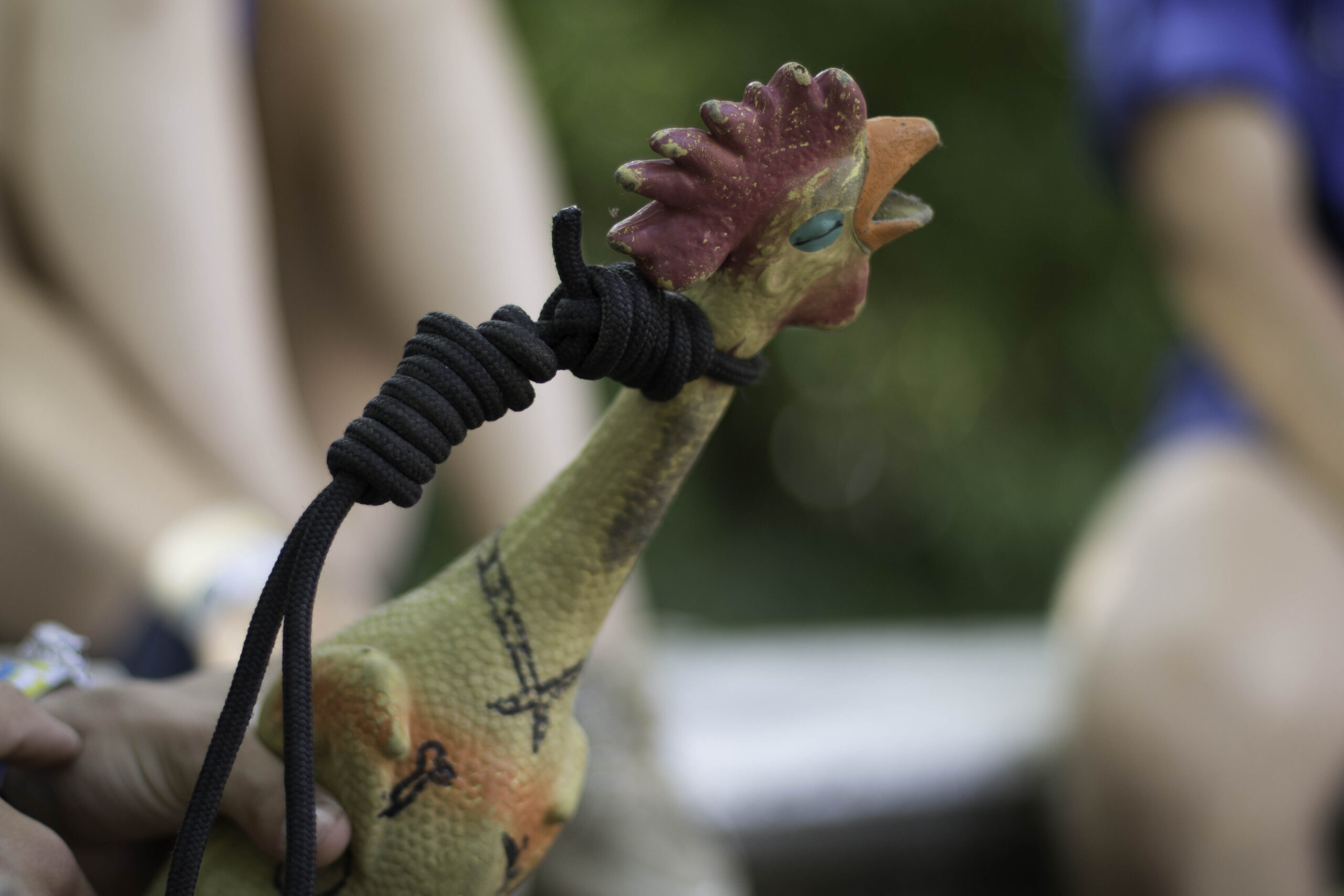 On a retrouvé le Poulet de You&rsquo;re Up !
