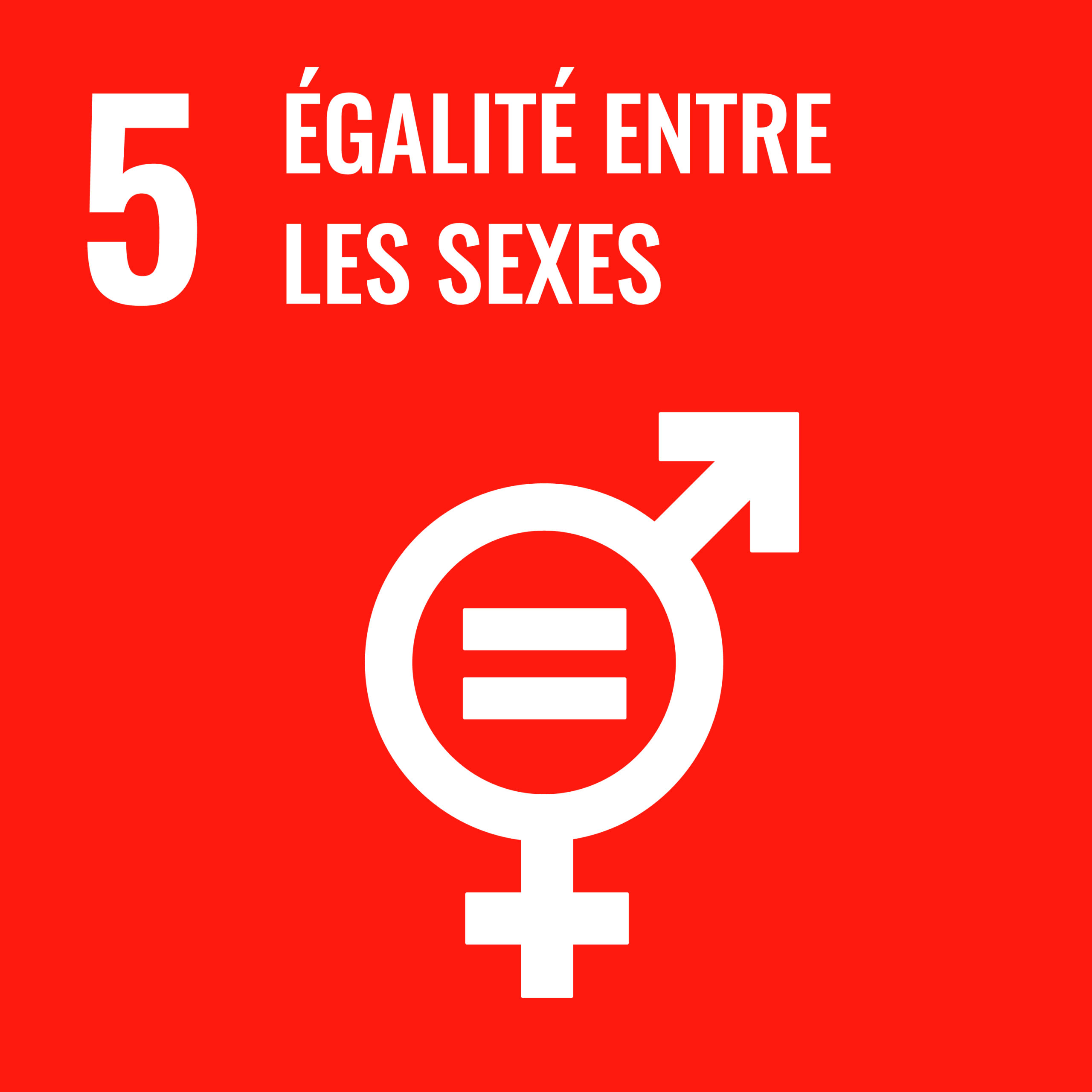 ODD n°5 : Egalité entre les sexes