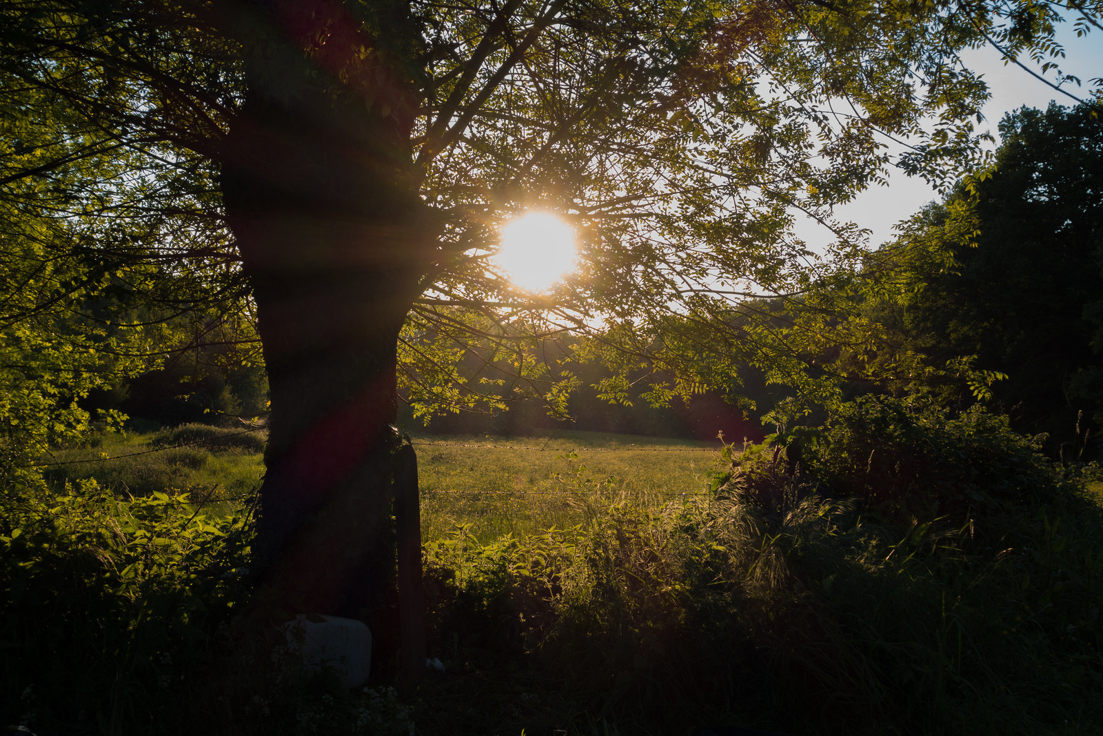 20140503_camp_printemps_086-x3.jpg