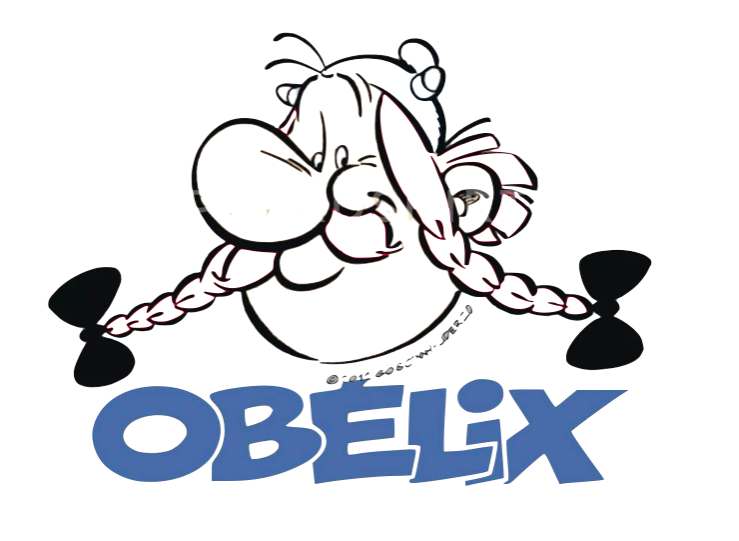 obelix_motif.png