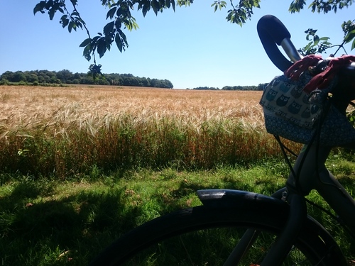 La contemplation fait partie du voyage à vélo 🙏