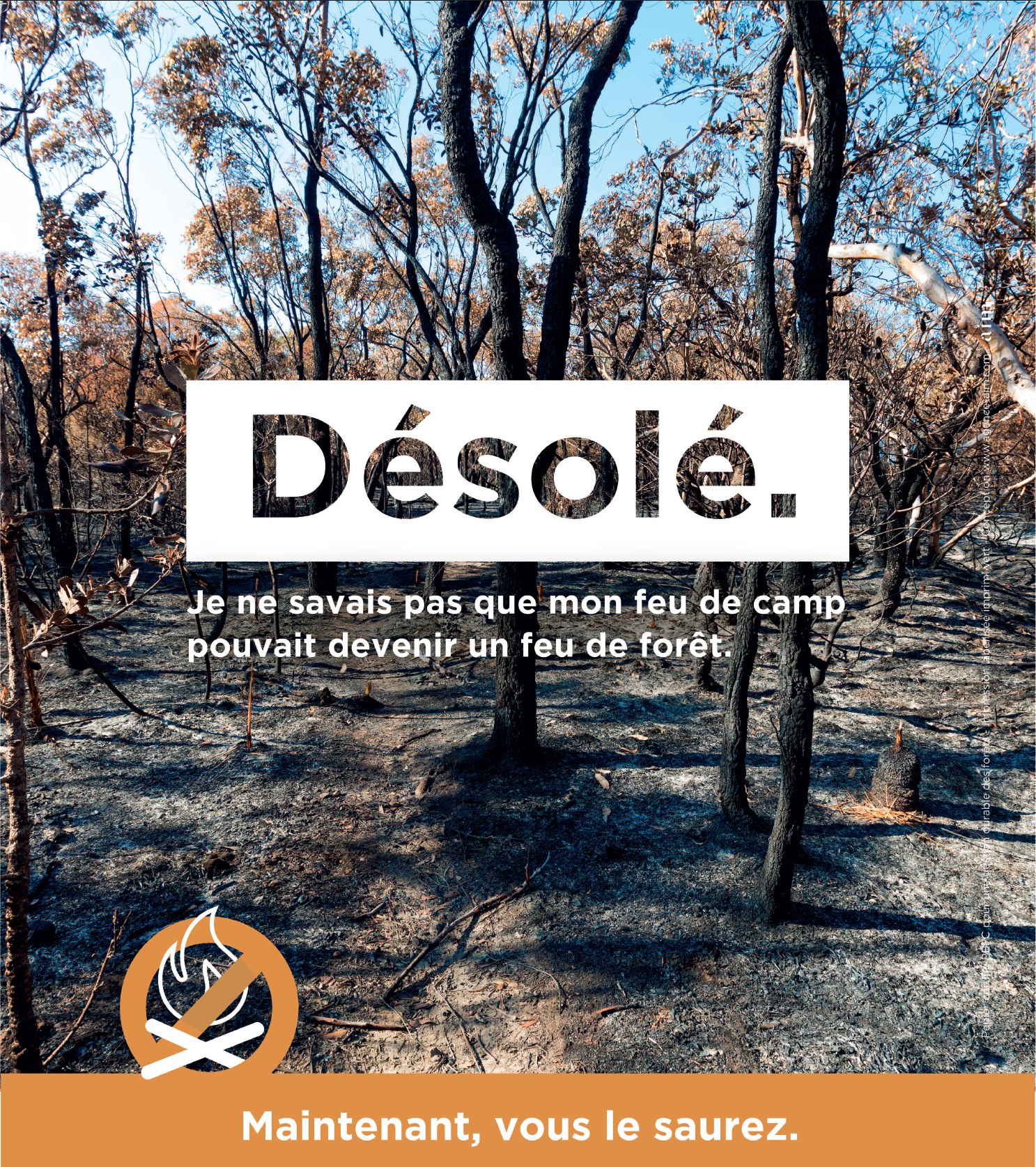 Un.e scout.e averti.e en vaut deux
